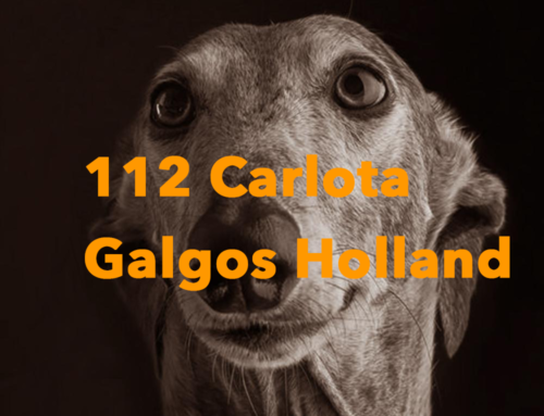 112 Carlota Galgos Holland